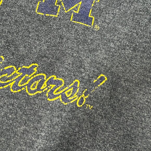 Y2K Jerzees Michigan Wolverines Sweatshirt Medium Dark Grey Distressed Hoodie - Picture 3 of 16